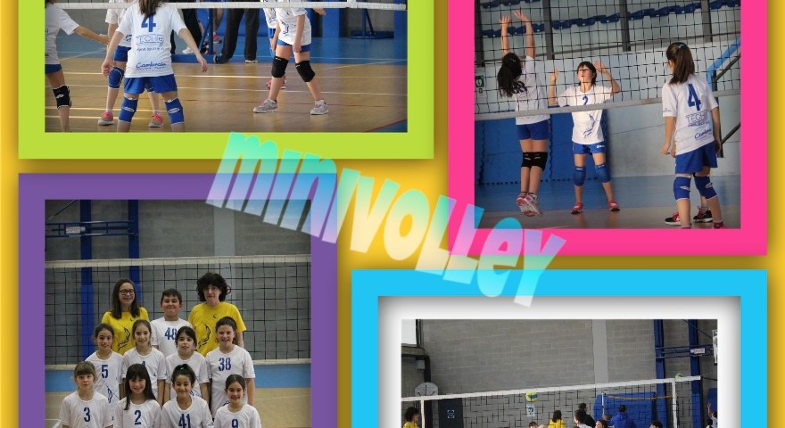 minivolley29.01.17